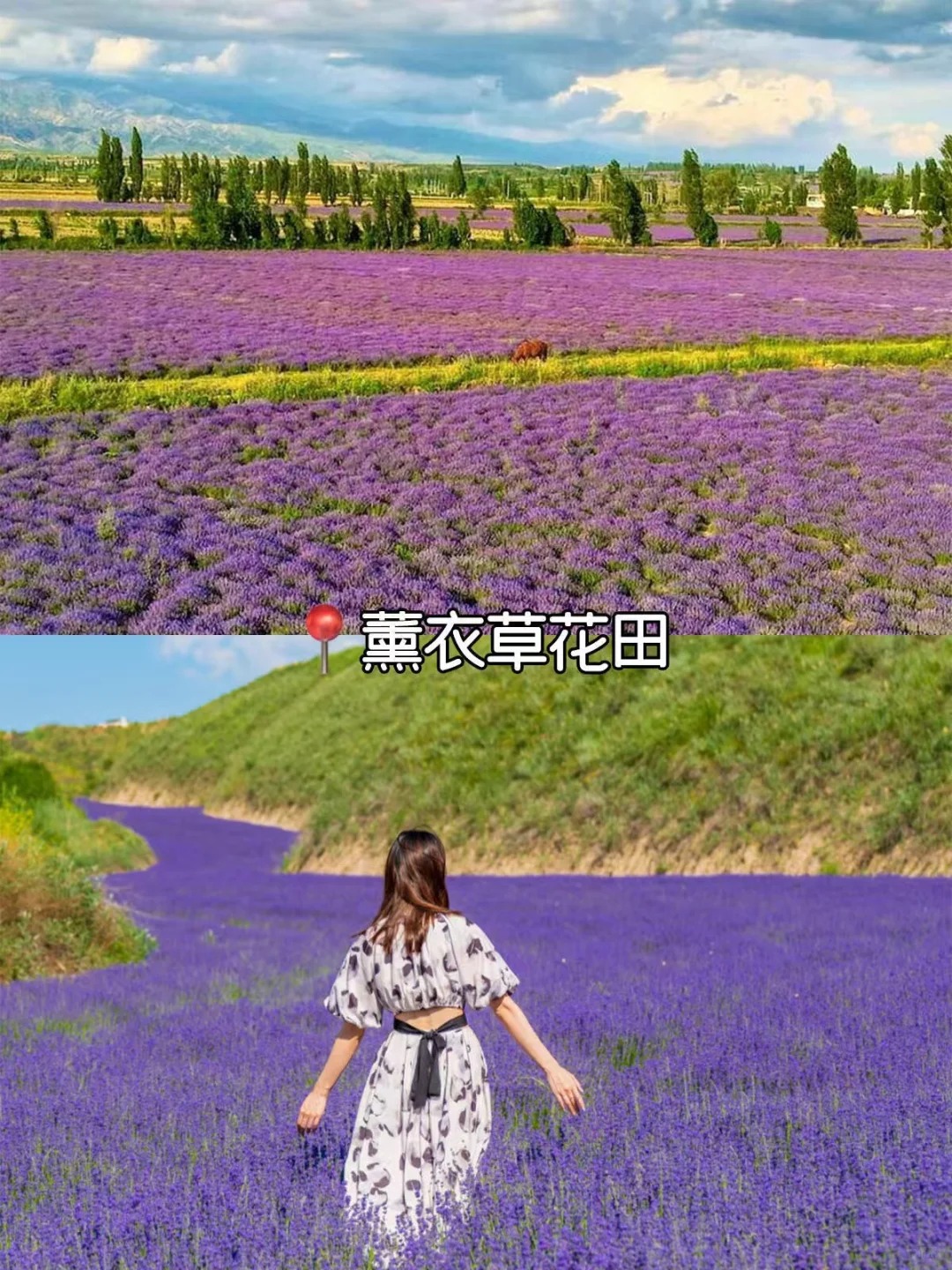 新疆小包团超爽游